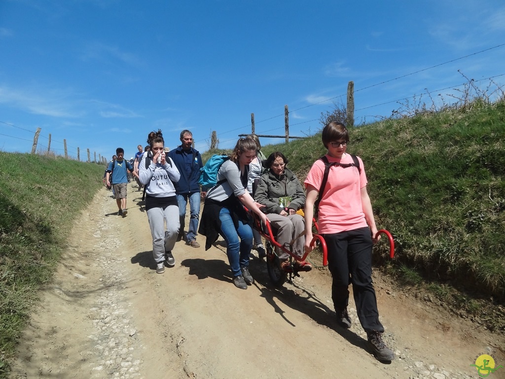 Randonnée joëlettes à Bertogne