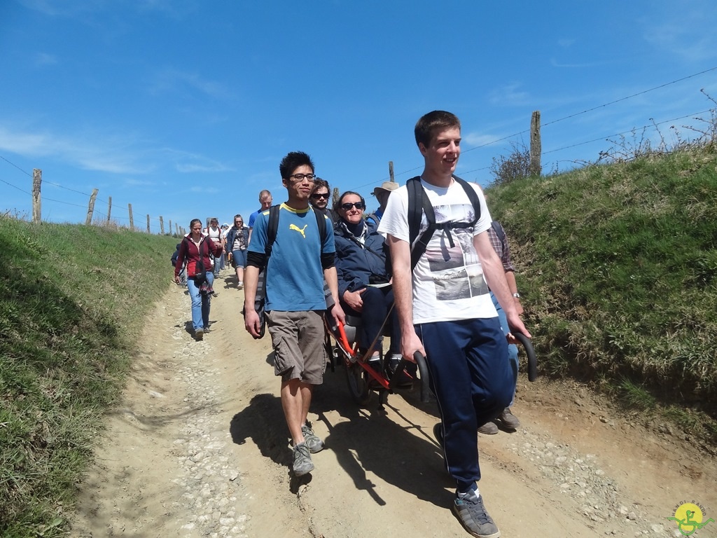 Randonnée joëlettes à Bertogne