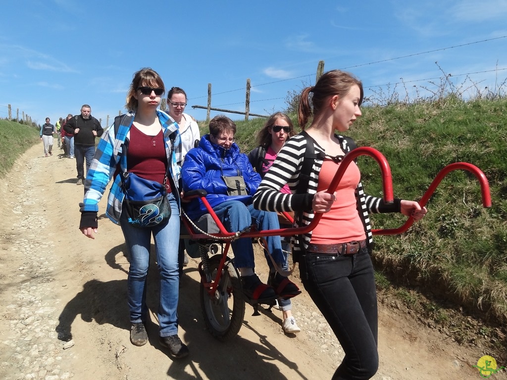 Randonnée joëlettes à Bertogne