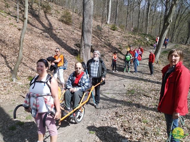 Randonnée sportive joëlettes