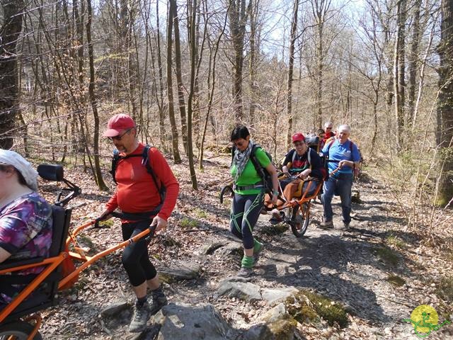 Randonnée sportive joëlettes