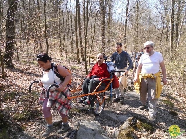 Randonnée sportive joëlettes