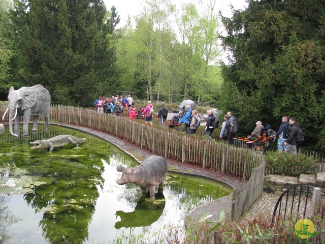 Randonnée joëlettes à Chevetogne