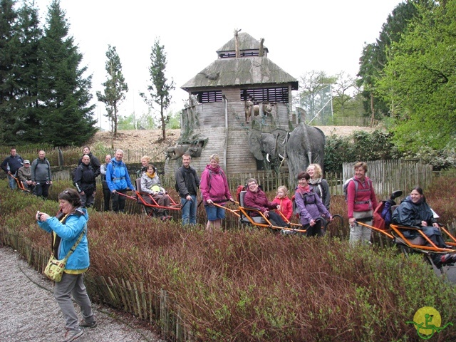 Randonnée joëlettes à Chevetogne