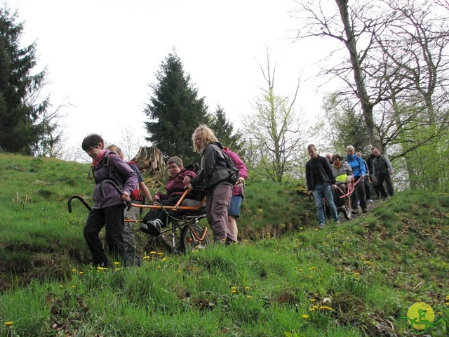 Randonnée joëlettes à Chevetogne