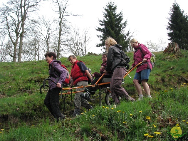 Randonnée joëlettes à Chevetogne