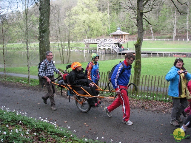 Randonnée joëlettes à Chevetogne