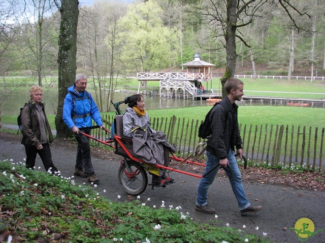 Randonnée joëlettes à Chevetogne