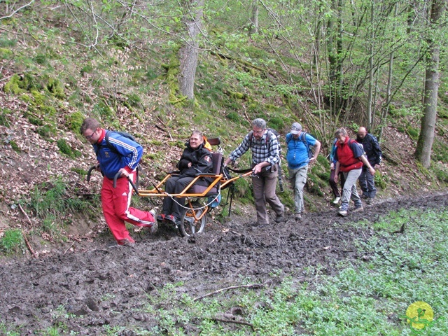 Randonnée joëlettes à Chevetogne