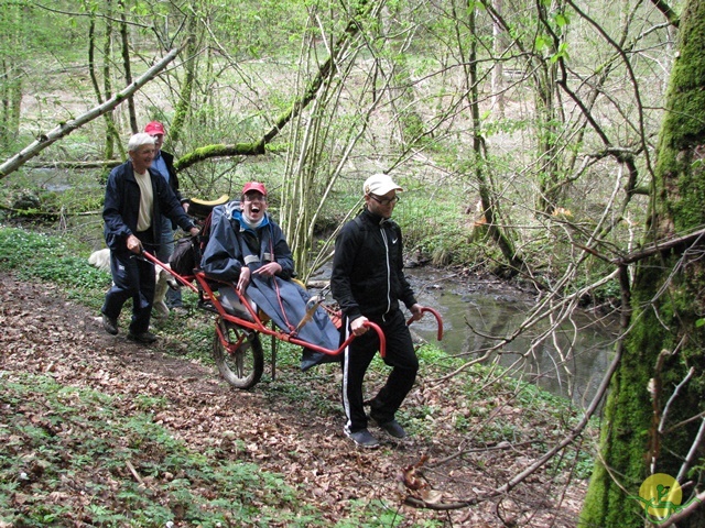 Randonnée joëlettes à Chevetogne