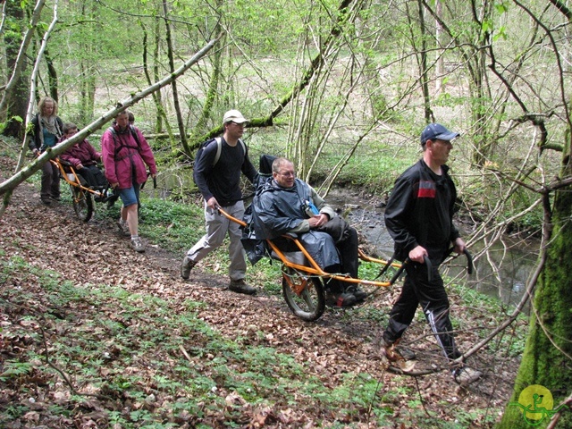 Randonnée joëlettes à Chevetogne