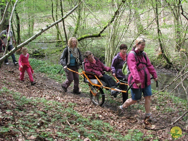 Randonnée joëlettes à Chevetogne