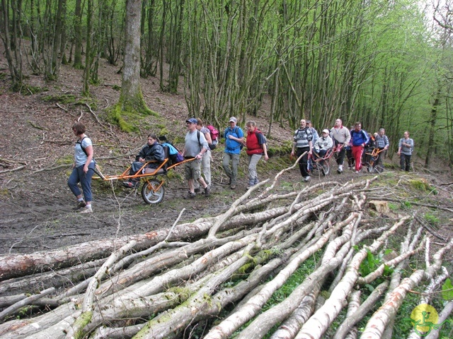 Randonnée joëlettes à Chevetogne