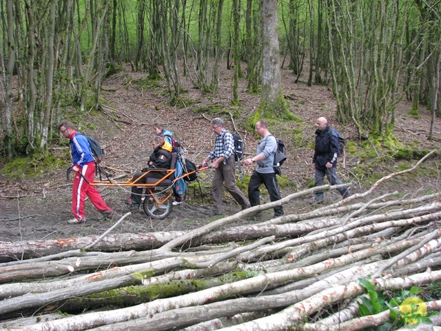 Randonnée joëlettes à Chevetogne