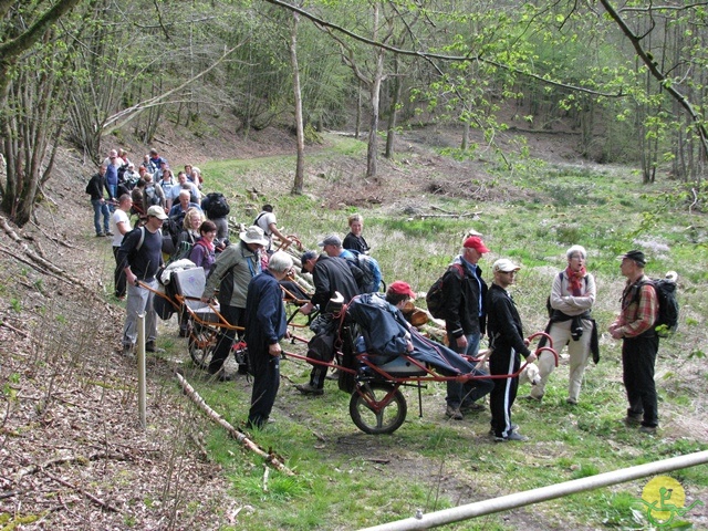 Randonnée joëlettes à Chevetogne