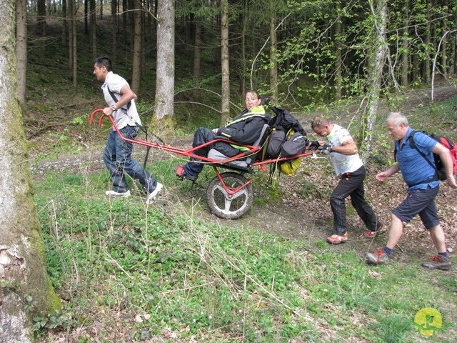 Randonnée joëlettes à Chevetogne