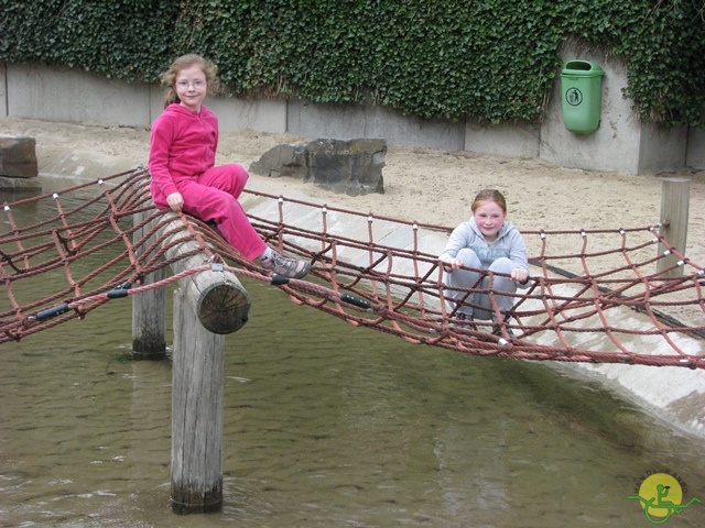 Randonnée joëlettes à Chevetogne