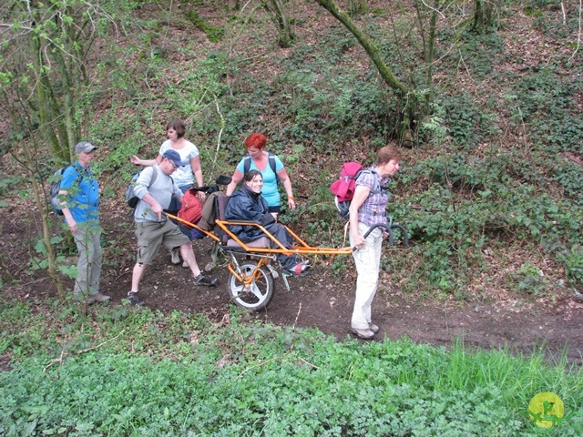 Randonnée joëlettes à Chevetogne