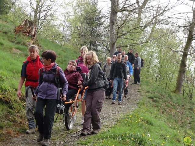 Randonnée joëlettes à Chevetogne