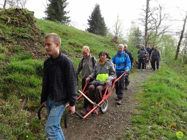 Randonnée joëlettes à Chevetogne