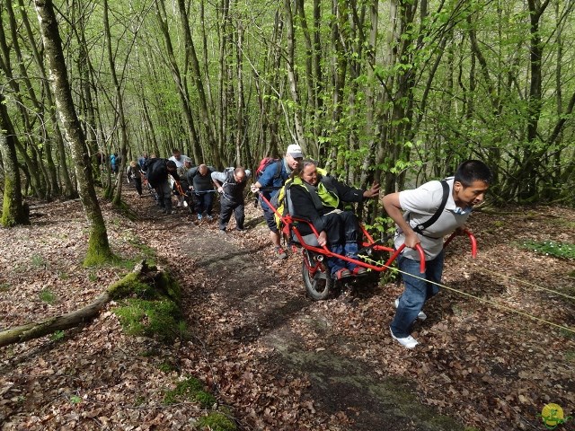 Randonnée joëlettes à Chevetogne