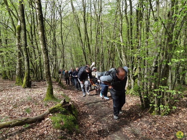 Randonnée joëlettes à Chevetogne