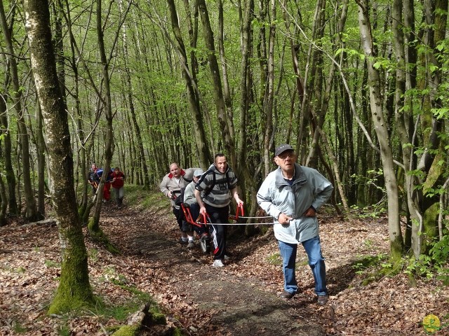 Randonnée joëlettes à Chevetogne