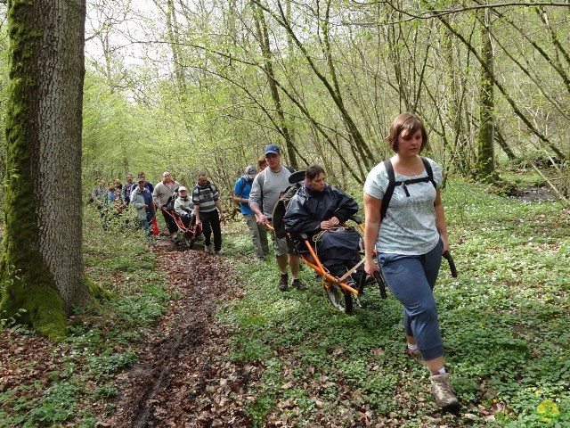 Randonnée joëlettes à Chevetogne