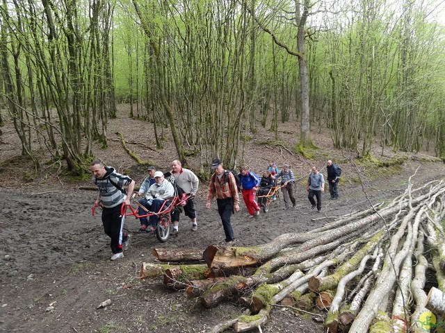 Randonnée joëlettes à Chevetogne