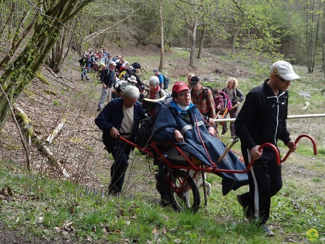 Randonnée joëlettes à Chevetogne