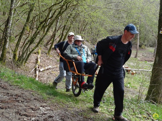 Randonnée joëlettes à Chevetogne