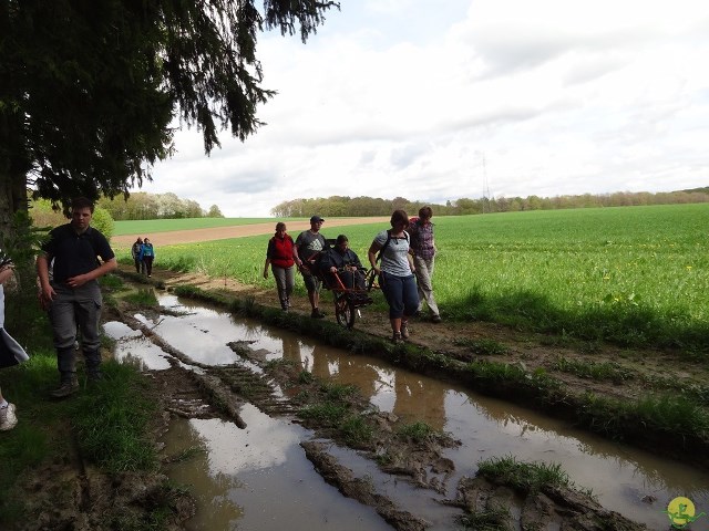 Randonnée joëlettes à Chevetogne