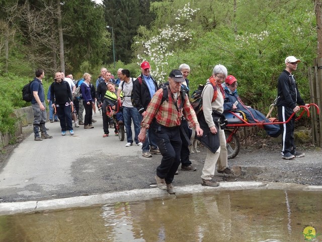 Randonnée joëlettes à Chevetogne