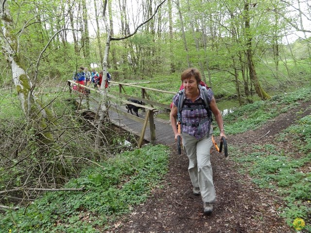 Randonnée joëlettes à Chevetogne