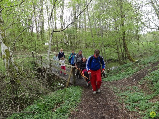 Randonnée joëlettes à Chevetogne