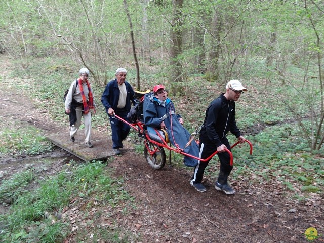 Randonnée joëlettes à Chevetogne