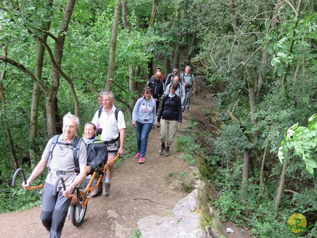 Randonnée joëlettes à Esneux