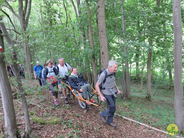 Randonnée joëlettes à Esneux