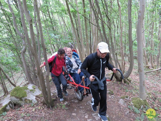 Randonnée joëlettes à Esneux