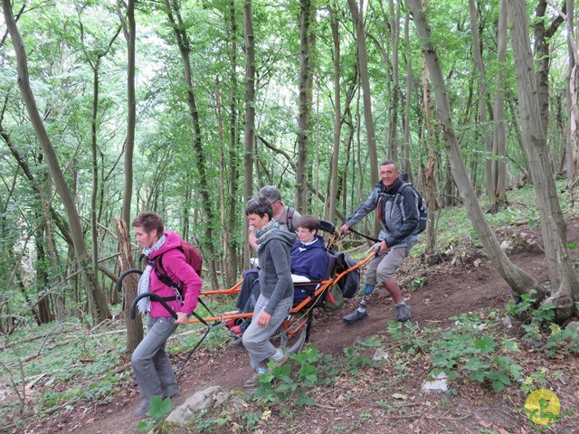 Randonnée joëlettes à Esneux