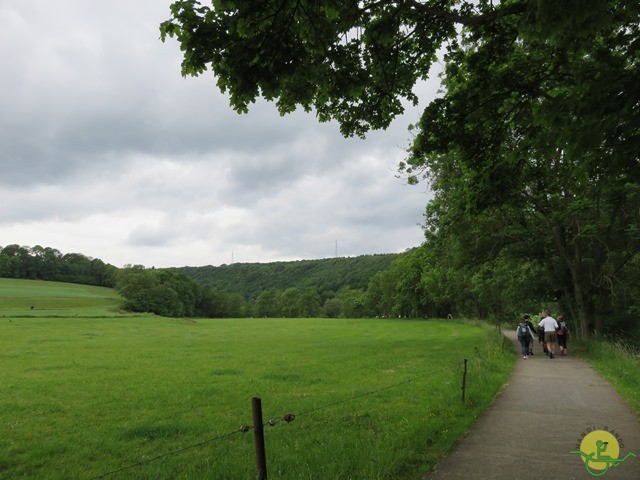 Randonnée joëlettes à Esneux