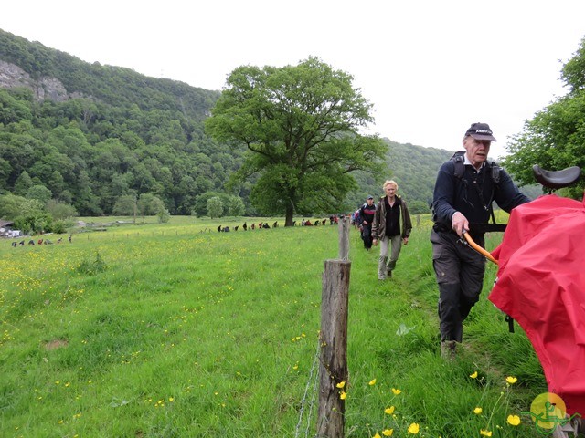 Randonnée joëlettes à Esneux