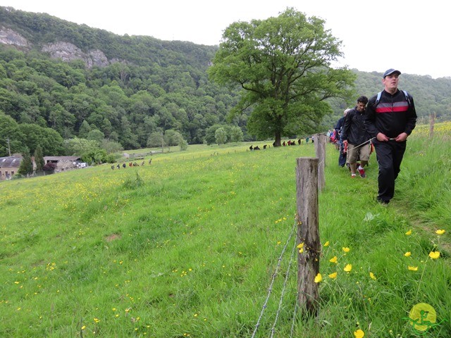 Randonnée joëlettes à Esneux