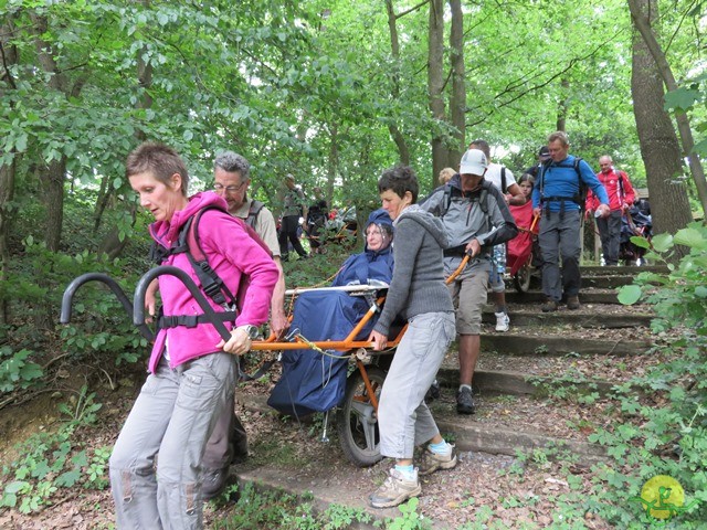 Randonnée joëlettes à Esneux