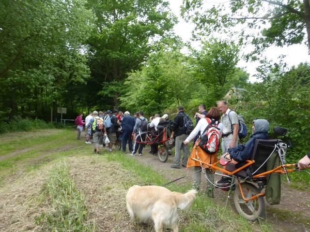 Randonnée joëlettes à Esneux