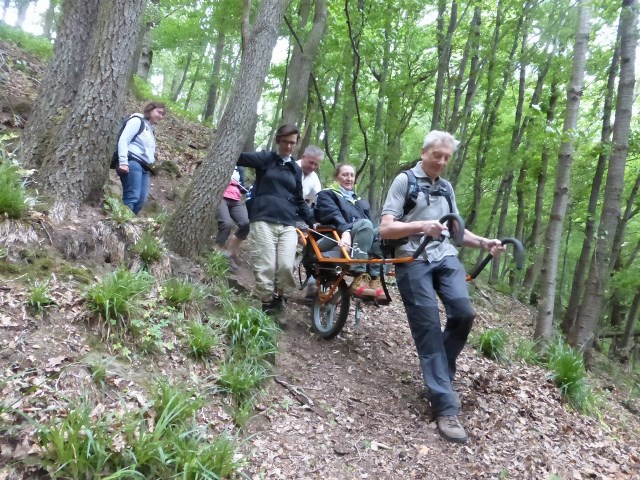 Randonnée joëlettes à Esneux