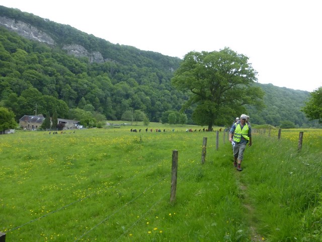 Randonnée joëlettes à Esneux