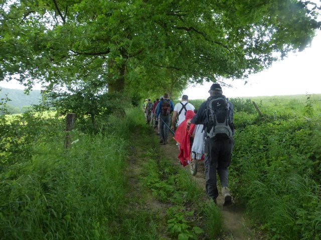 Randonnée joëlettes à Esneux