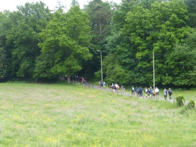 Randonnée joëlettes à Esneux