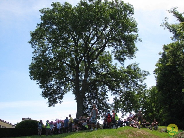 Randonnée joëlettes à Thuin